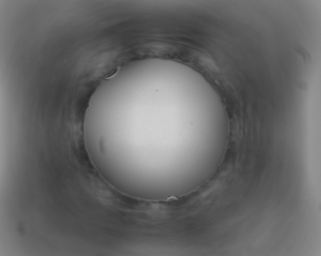 X0000114221109200910231437