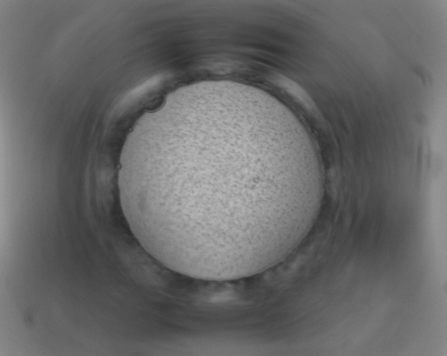 X0000114221111200910231437