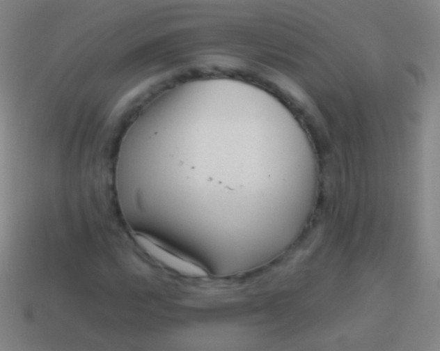 X0000114221112200910231437