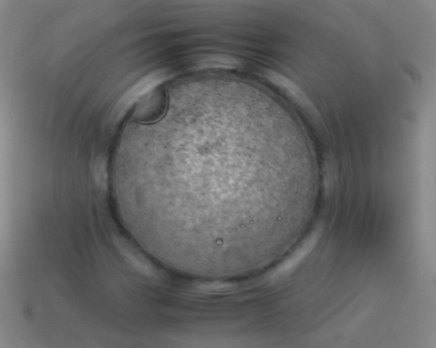 X0000114221113200910231437