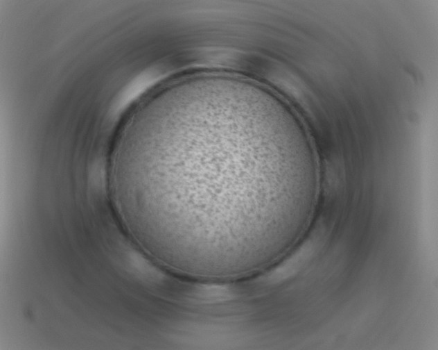 X0000114221114200910231437