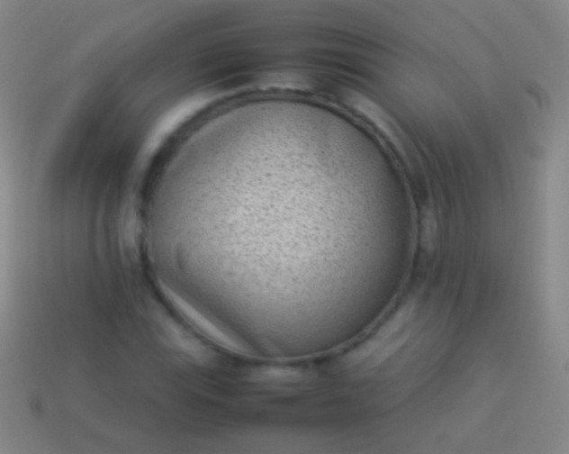 X0000114221115200910231437