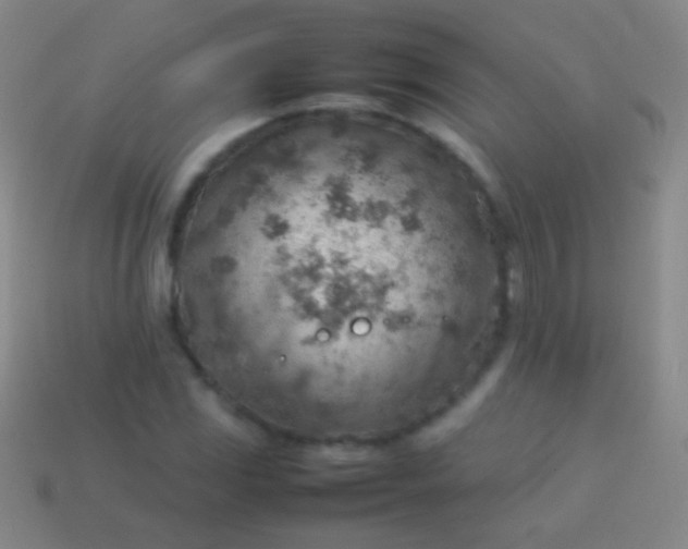 X0000114221117200910231437