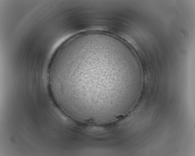 X0000114221119200910231437