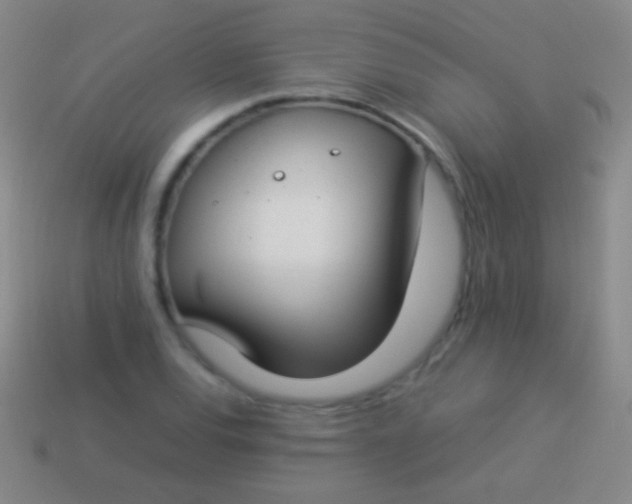 X0000114221120200910231437