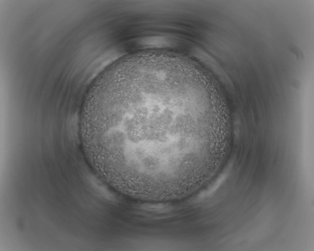 X0000114221121200910231437