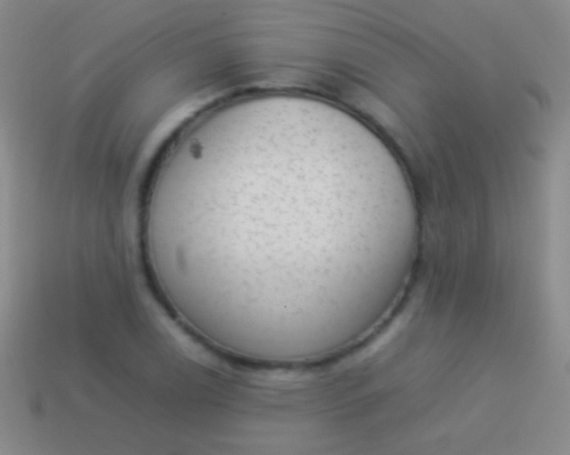 X0000114221122200910231437