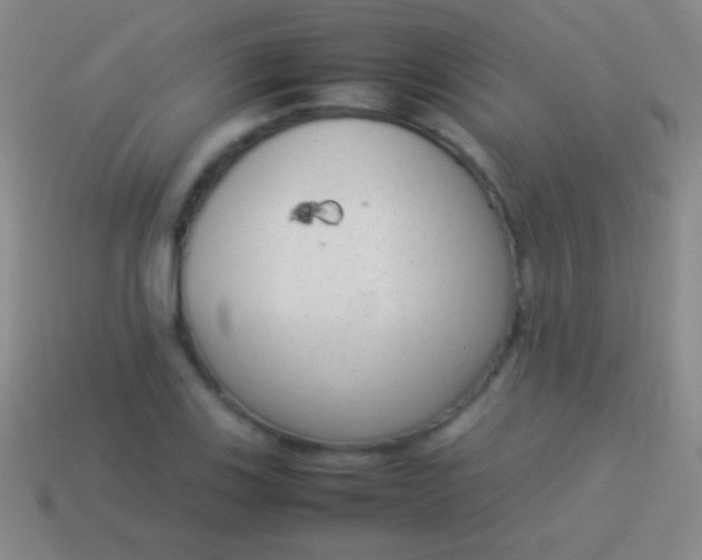 X0000114221123200910231437