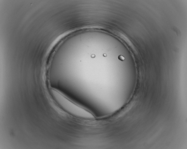 X0000114221124200910231437