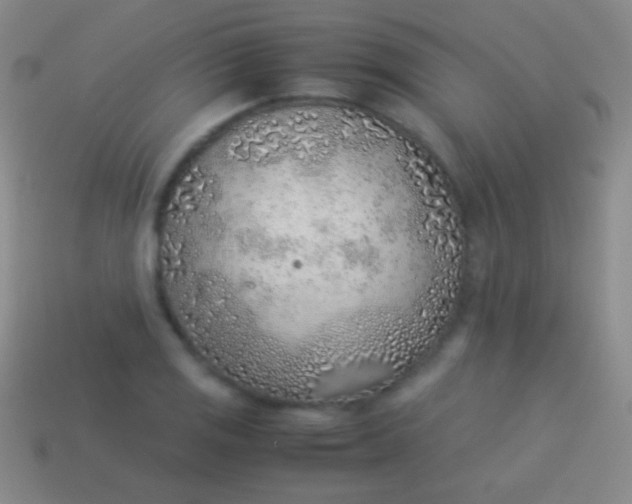 X0000114221125200910231437