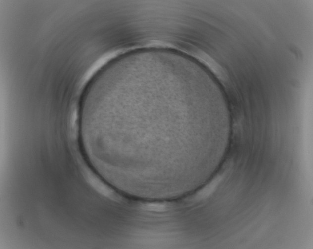 X0000114221126200910231437