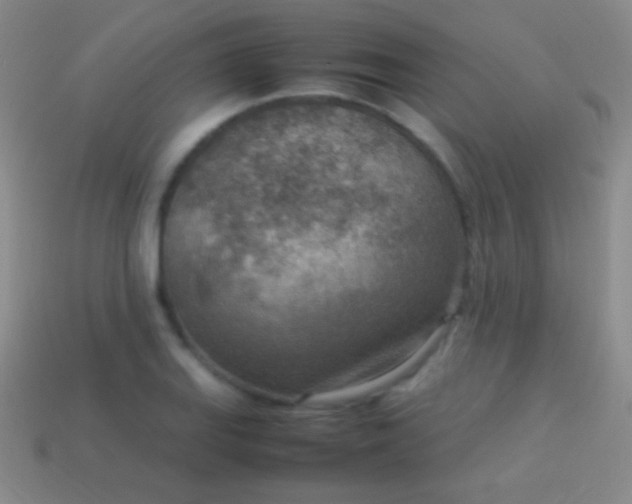 X0000114221127200910231437