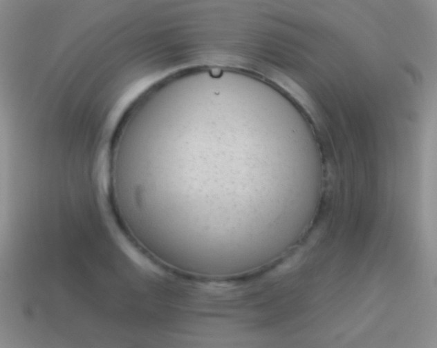 X0000114221128200910231437