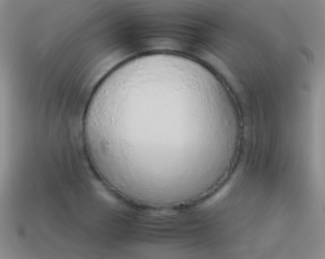 X0000114221129200910231437