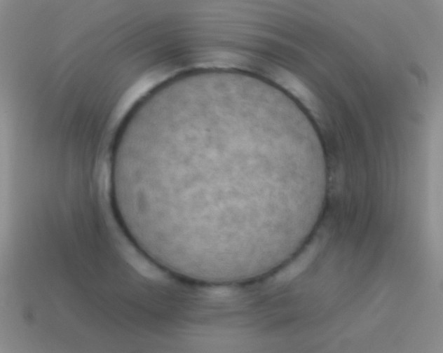 X0000114221130200910231437