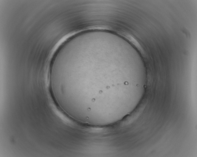 X0000114221132200910231437