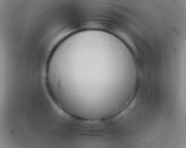 X0000114221133200910231437