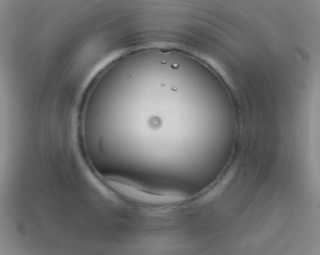 X0000114221134200910231437