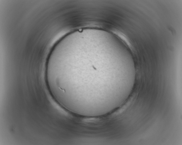 X0000114221135200910231438