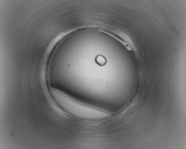 X0000114221136200910231438