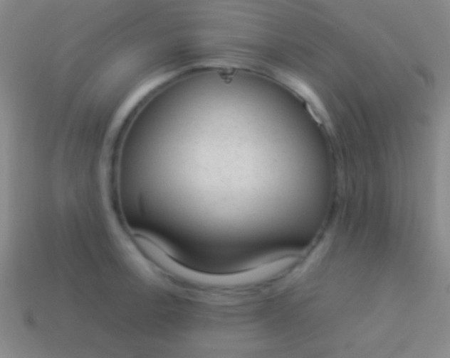 X0000114221138200910231438