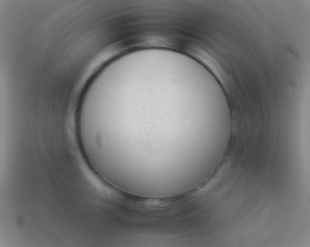 X0000114221139200910231438