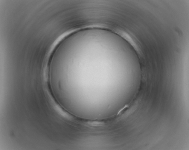 X0000114221140200910231438