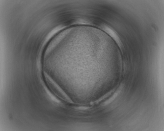 X0000114221141200910231438