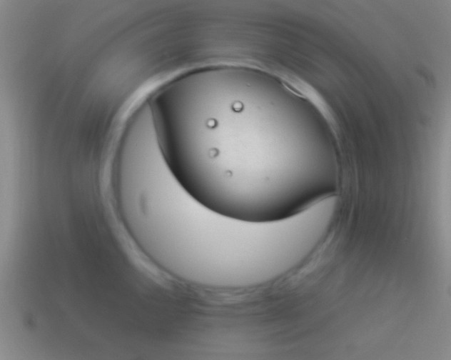 X0000114221144200910231438