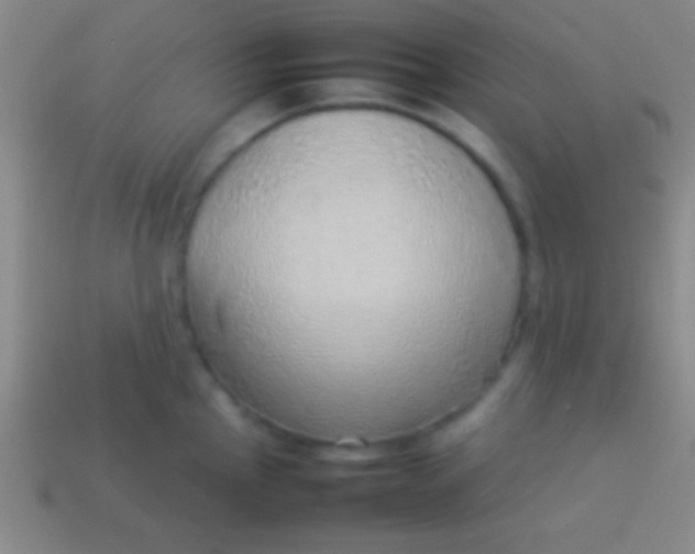 X0000114221145200910231438