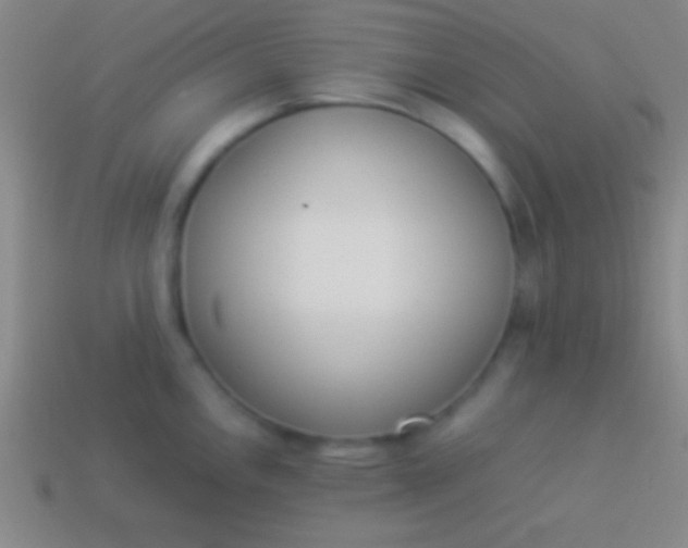 X0000114221146200910231438