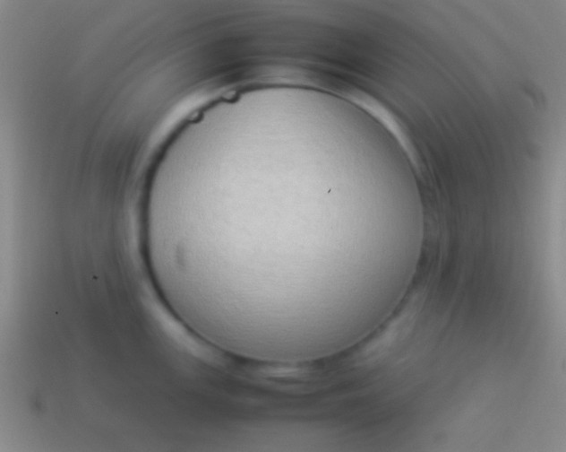 X0000114221147200910231438