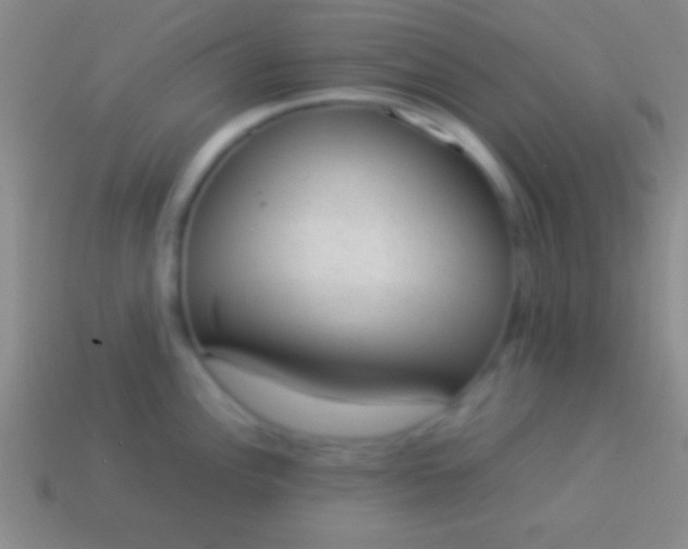 X0000114221148200910231438