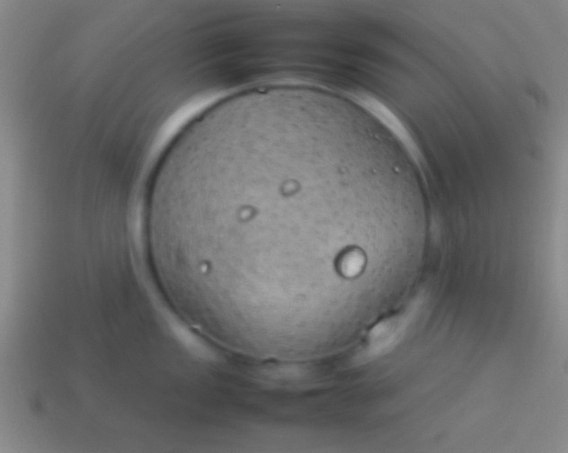 X0000114221149200910231438