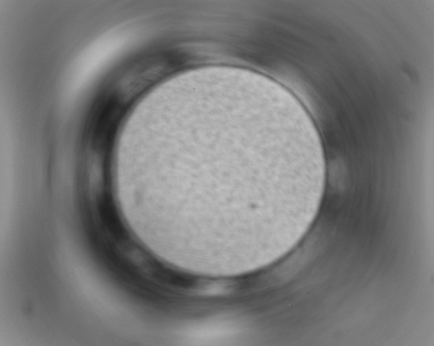 X0000114221150200910231438