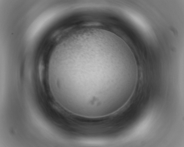 X0000114221151200910231438