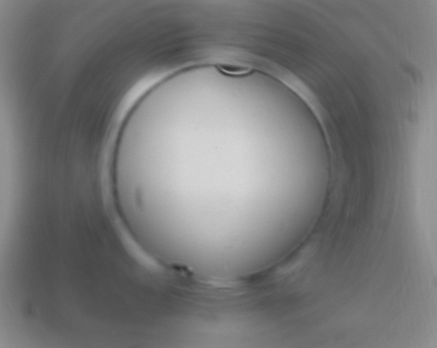 X0000114221152200910231438