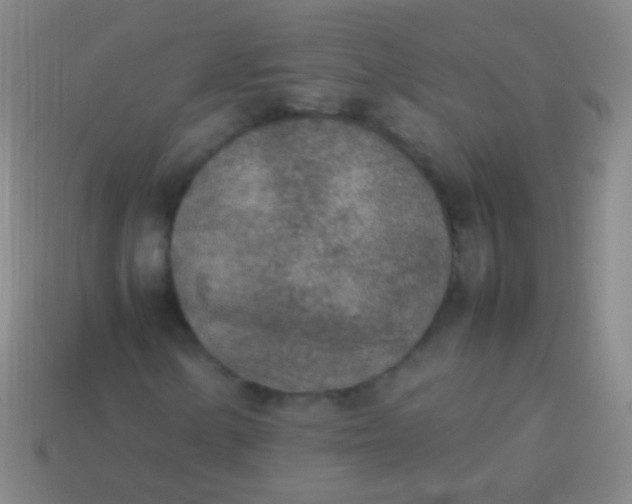 X0000114221154200910231437