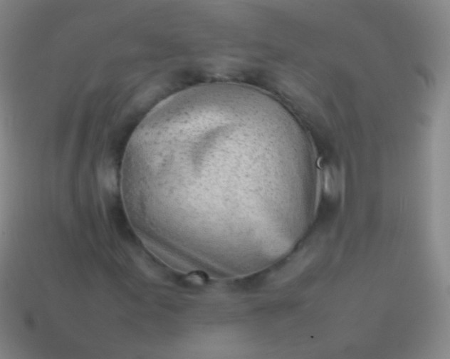 X0000114221155200910231437