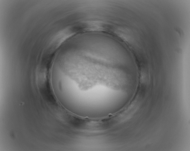 X0000114221161200910231437