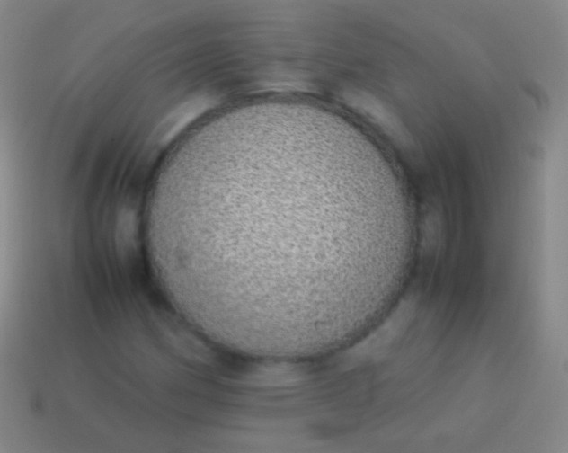 X0000114221162200910231437