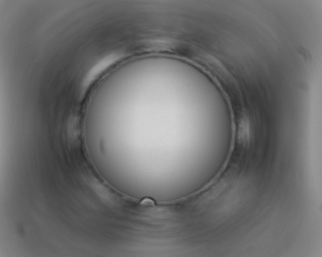 X0000114221164200910231437