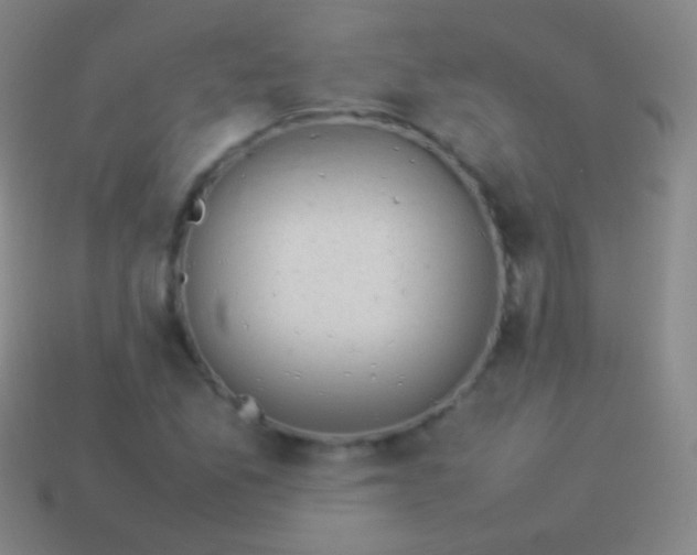 X0000114221165200910231437