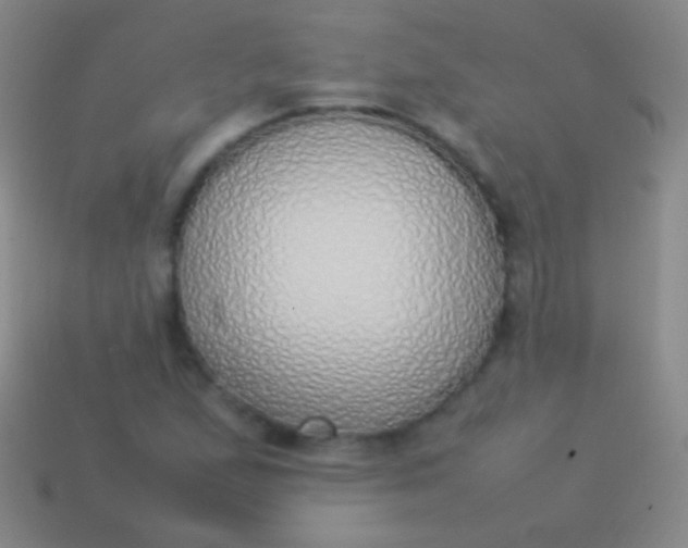 X0000114221167200910231437