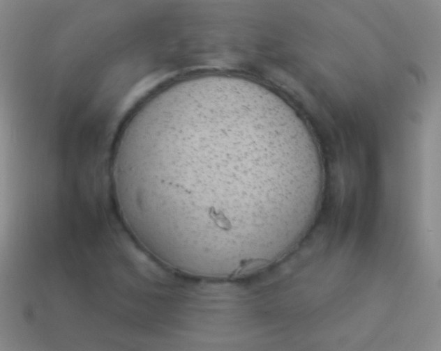 X0000114221168200910231437