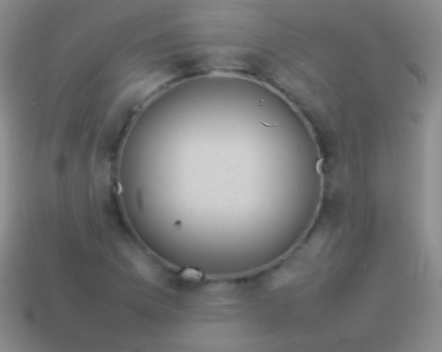 X0000114221169200910231437