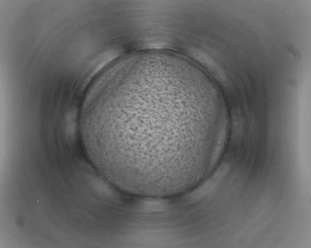 X0000114221170200910231437