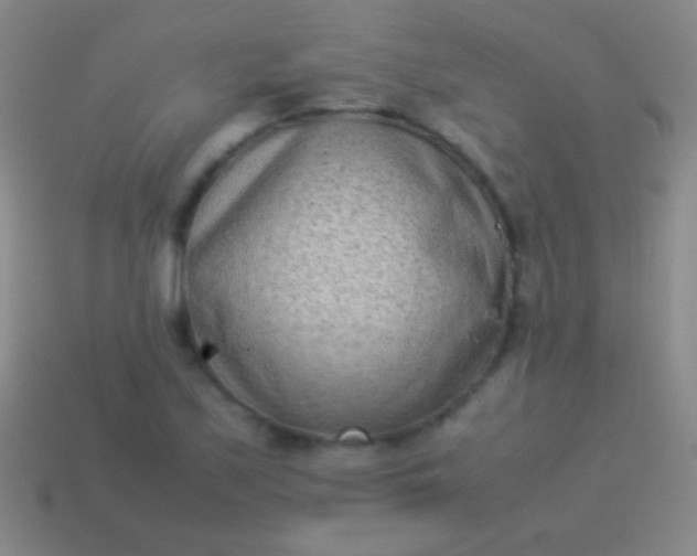 X0000114221171200910231437