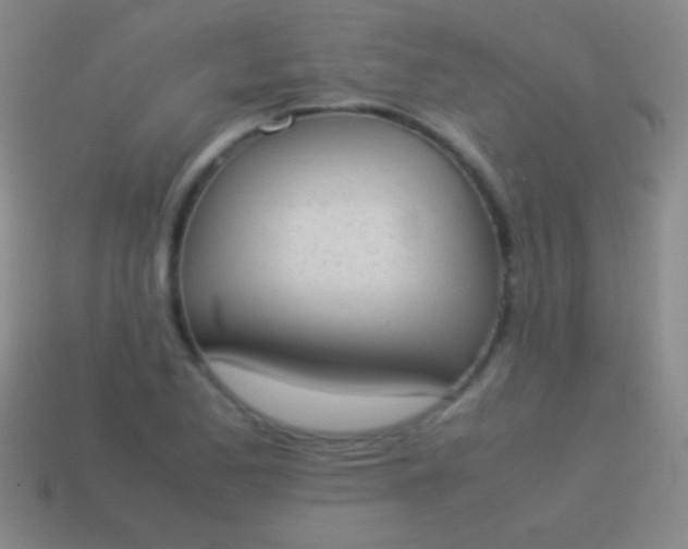 X0000114221173200910231437