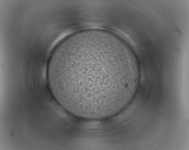 X0000114221174200910231437